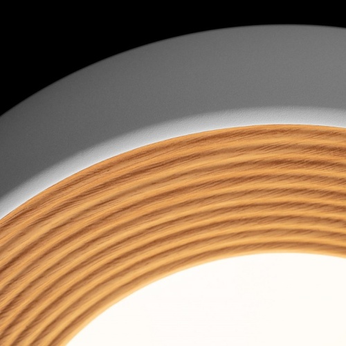 Накладной светильник Loft it Folk 10255/350 White в Нижнем Новгороде фото 3