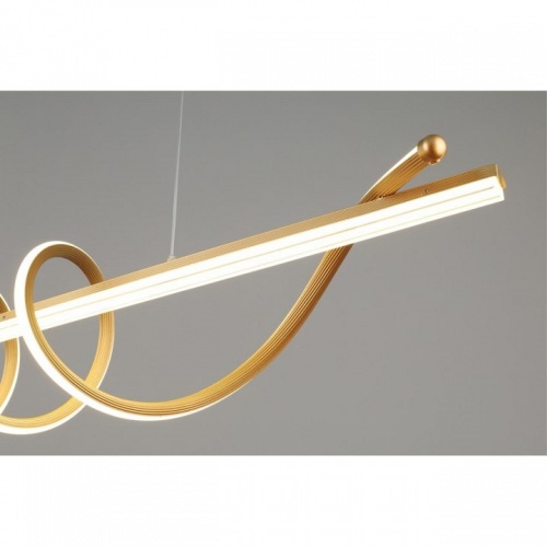 Подвесной светильник Aployt Franka APL.079.03.40 в Нижнем Новгороде фото 15