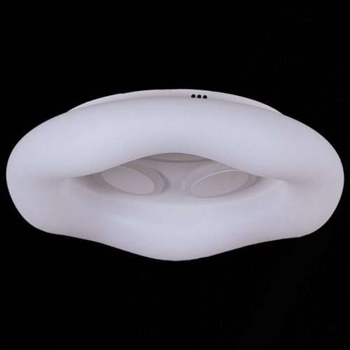 Накладной светильник 10008-0.3-80W PLANET в Нижнем Новгороде фото 2