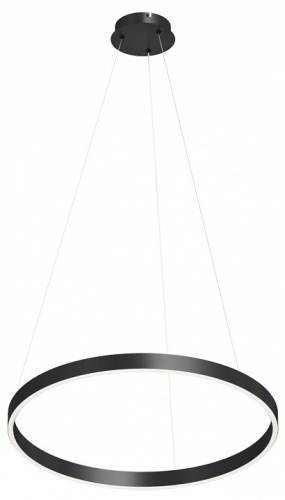 Подвесной светильник Denkirs RAYDIA DK6272-BK в Нижнем Новгороде