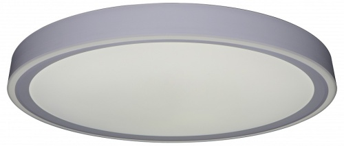 Накладной светильник Zortes Bella ZRS.1200.09 в Нижнем Новгороде фото 4