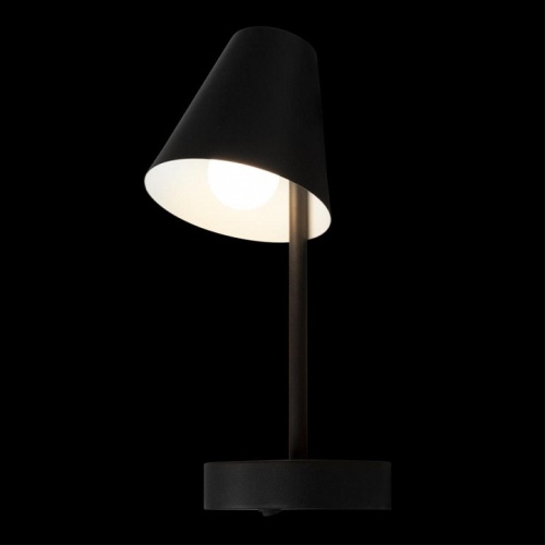 Бра Loft it Shelf 10216/1W Black в Нижнем Новгороде фото 4