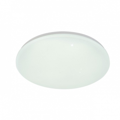 Накладной светильник Escada GALATEA 10216/SG LED APP в Нижнем Новгороде фото 4