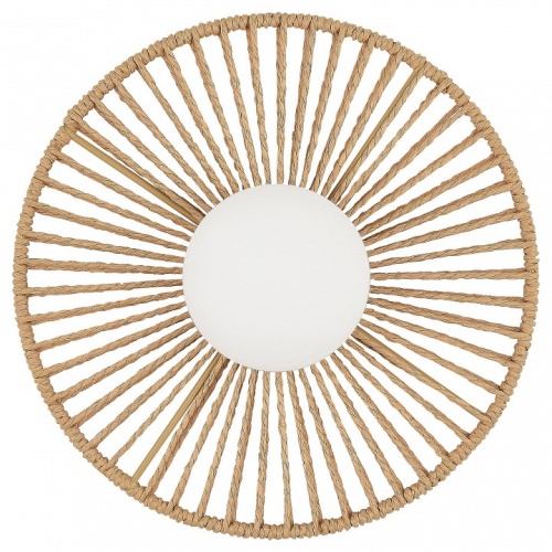 Накладной светильник EVOLUCE LOOM SLE6022-601-01 в Нижнем Новгороде фото 2