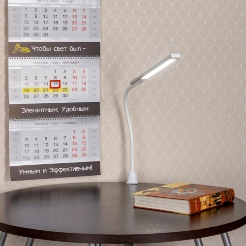 Настольная лампа офисная Citilux Рио CL803090N в Нижнем Новгороде фото 3