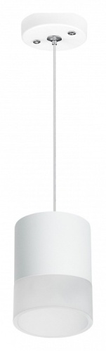 Подвесной светильник Lightstar Rullo RP348681 в Нижнем Новгороде фото 2