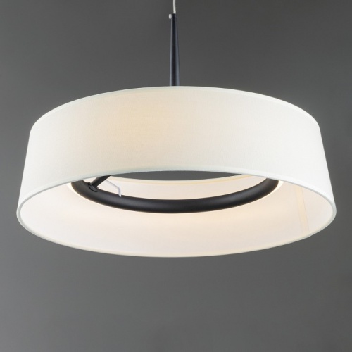 Подвесной светильник Freya Vabi FR6132PL-L15B в Нижнем Новгороде фото 5