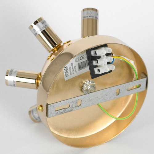 Потолочная люстра Lussole Davie LSP-8782 в Нижнем Новгороде фото 2