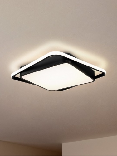 Накладной светильник Freya  FR10030CL-L88B в Нижнем Новгороде фото 6