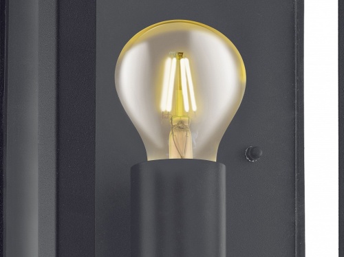 Накладной светильник Eglo Alamonte 1 94831 в Нижнем Новгороде фото 3