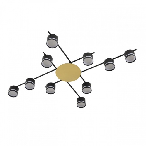 Потолочная люстра Lumion BENUA 8304/10C в Нижнем Новгороде фото 4