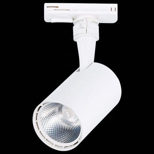 Светильник на штанге ST-Luce Cami ST351.546.10.36 в Нижнем Новгороде фото 2