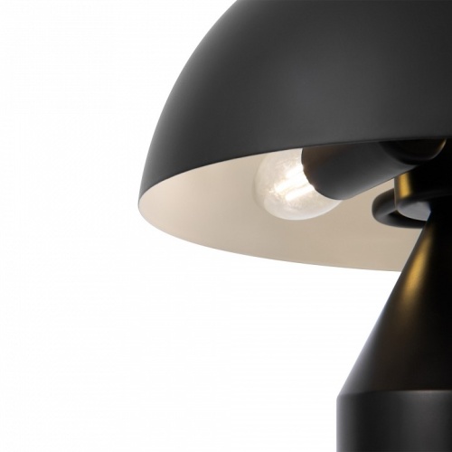 Настольная лампа декоративная Freya Eleon FR5218TL-02B1 в Петровом Вале фото 6