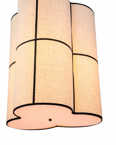 Подвесной светильник Indigo Triade 13019/B/3P Black в Нижнем Новгороде фото 2