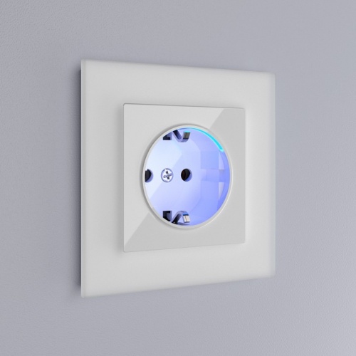 Розетка с заземлением, без рамки Werkel белый W1171401 в Нижнем Новгороде фото 6