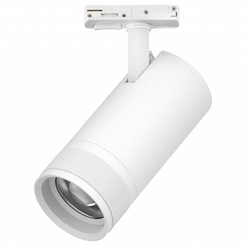 Светильник на штанге Lightstar Canno Pro C4306SS в Нижнем Новгороде