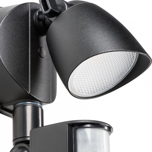 Светильник на штанге Lightstar Diva 374337 в Нижнем Новгороде фото 2