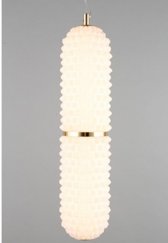 Подвесной светильник Aployt Ozeynn APL.332.06.22 в Нижнем Новгороде фото 4