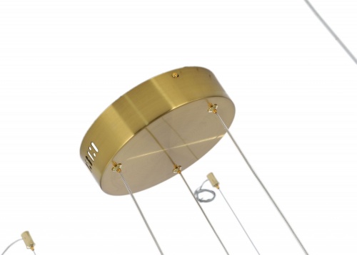 Подвесной светильник Zortes Lidia ZRS.30110.114 в Нижнем Новгороде фото 4