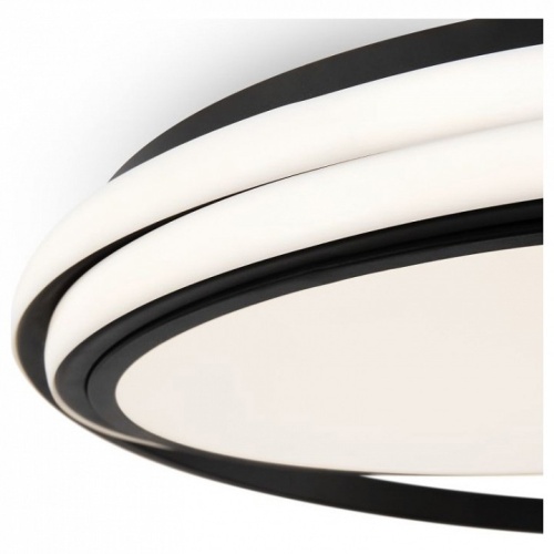 Накладной светильник Freya Lisoa FR10032CL-L98B в Нижнем Новгороде фото 2