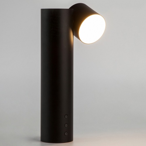 Настольная лампа декоративная Eurosvet Premier 80425/1 черный в Можге