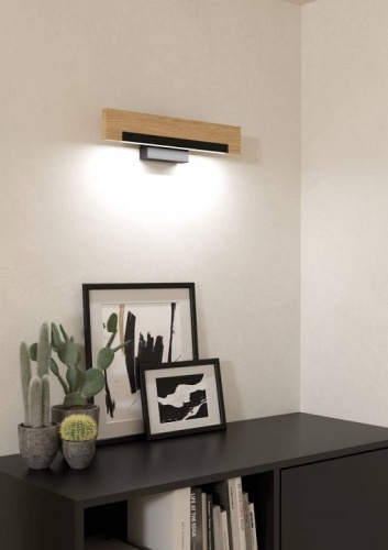 Накладной светильник Eglo CAMACHO 901738 в Нижнем Новгороде фото 4