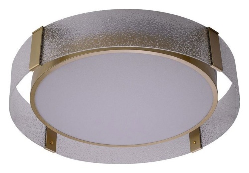 Накладной светильник Zortes Gerda ZRS.1097.60 в Нижнем Новгороде фото 11