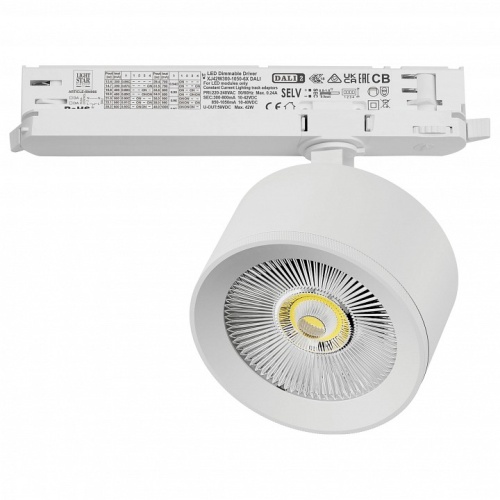 Светильник на штанге Lightstar Alta Pro A5546DALI в Нижнем Новгороде