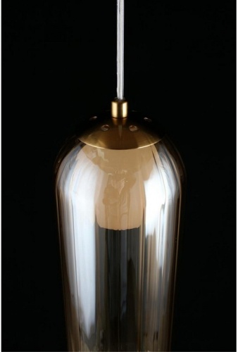 Подвесной светильник Aployt Arian APL.325.26.01 в Гагарине фото 15