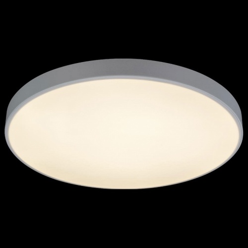 Накладной светильник Loft it Axel 1 10002/48 White в Нижнем Новгороде фото 3