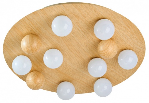 Потолочная люстра F-promo Swarm 4694-8C в Нижнем Новгороде