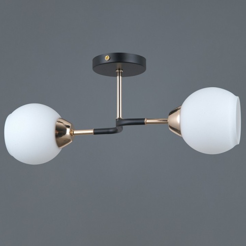 Светильник на штанге ILLUMICO LIBRA IL0689-2CSQ-24 BK FGD LIBRA в Нижнем Новгороде фото 3