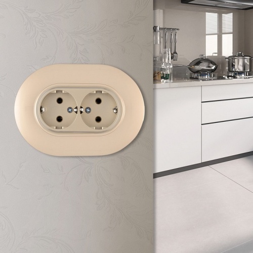 Розетка двойная с заземлением и со шторкой Arte Milano SET08-2 SET08-double-40-2 shampan в Нижнем Новгороде фото 2