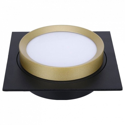 Встраиваемый светильник Lucia Tucci LTP LTP-C002-01GX53-BG в Нижнем Новгороде фото 2