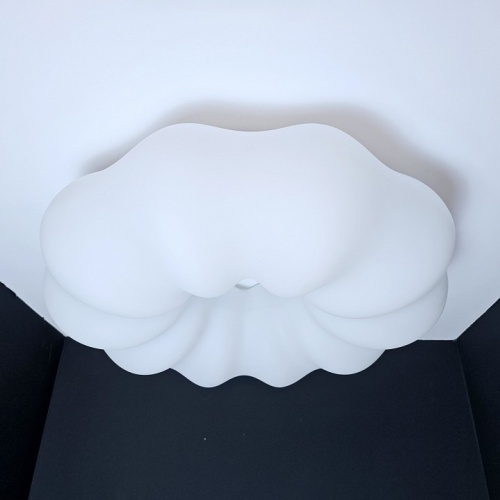 Накладной светильник Zortes Soft ZRS.1118.4 в Нижнем Новгороде фото 6