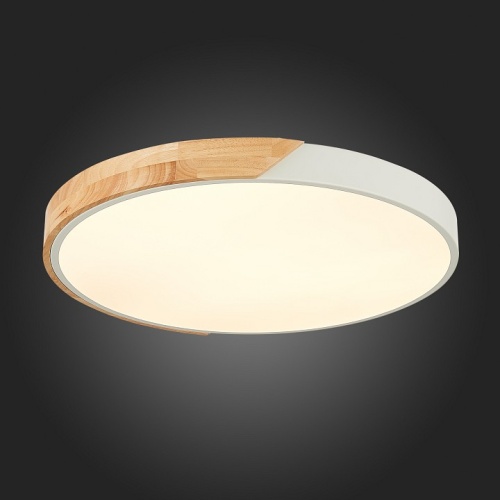 Накладной светильник EVOLUCE Festa SLE200952-01 в Нижнем Новгороде фото 10