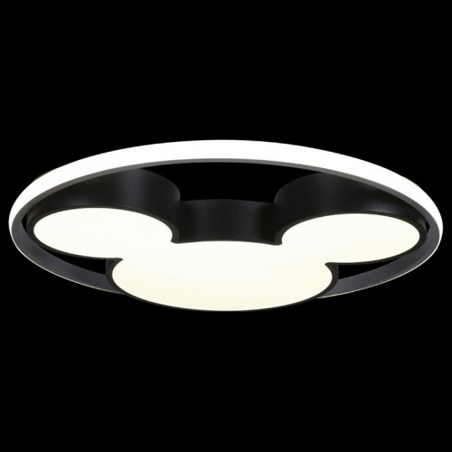 Накладной светильник Loft it Mike 10166 в Нижнем Новгороде фото 2