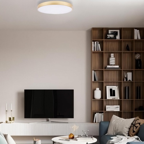 Накладной светильник Loft it Flims 10228/B в Ртищево фото 6