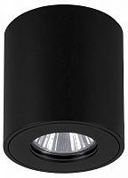 Накладной светильник Eglo TORRECOLA 901028 в Нижнем Новгороде