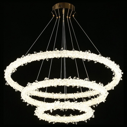 Подвесной светильник Aployt Merion APL.040.03.105 в Нижнем Новгороде фото 3