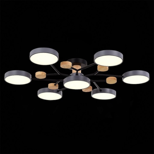 Потолочная люстра EVOLUCE Faema SLE6006-702-07 в Нижнем Новгороде фото 3