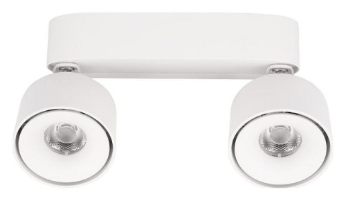 Спот Loft it Focus 10323/2A White в Нижнем Новгороде фото 5