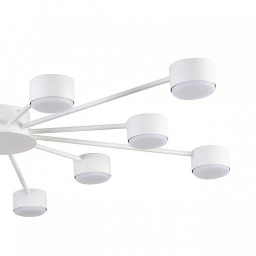 Потолочная люстра Lumion TORINA 8343/12C в Нижнем Новгороде фото 6