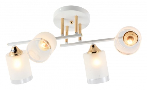 Люстра на штанге Rivoli Georgiana Б0055878 в Нижнем Новгороде фото 5