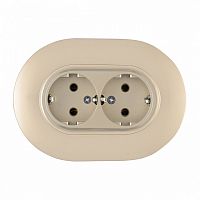Розетка двойная с заземлением и со шторкой Arte Milano SET08-2 SET08-double-40-2 shampan в Нижнем Новгороде