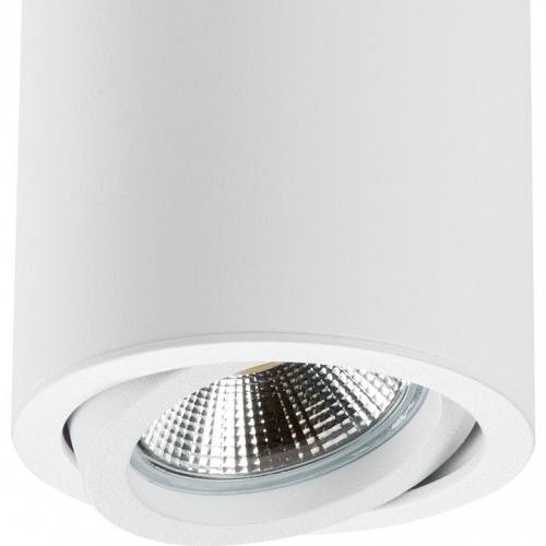 Накладной светильник Lightstar Rullo 214406 в Нижнем Новгороде фото 2