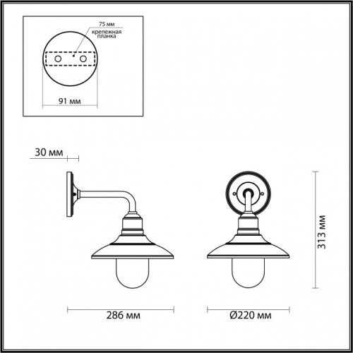 Светильник на штанге Odeon Light Campa 4965/1W в Качканаре фото 3