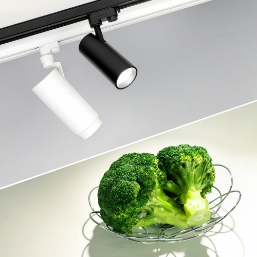 Светильник на штанге Arlight ZEUS FOOD 032449 в Нижнем Новгороде фото 3