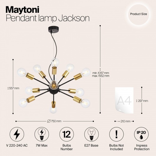 Подвесная люстра Maytoni Jackson T546PL-12B в Белово фото 8