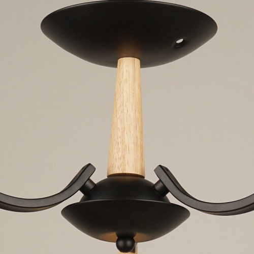 Люстра на штанге 04512-0.3-03 в Нижнем Новгороде фото 2